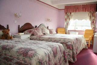 Berkeley Lodge Лімерик Екстер'єр фото